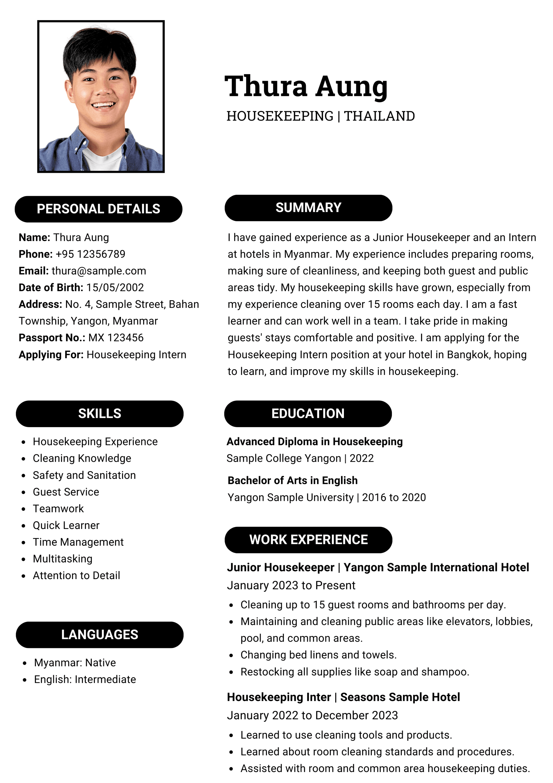 Professional CV sample 2