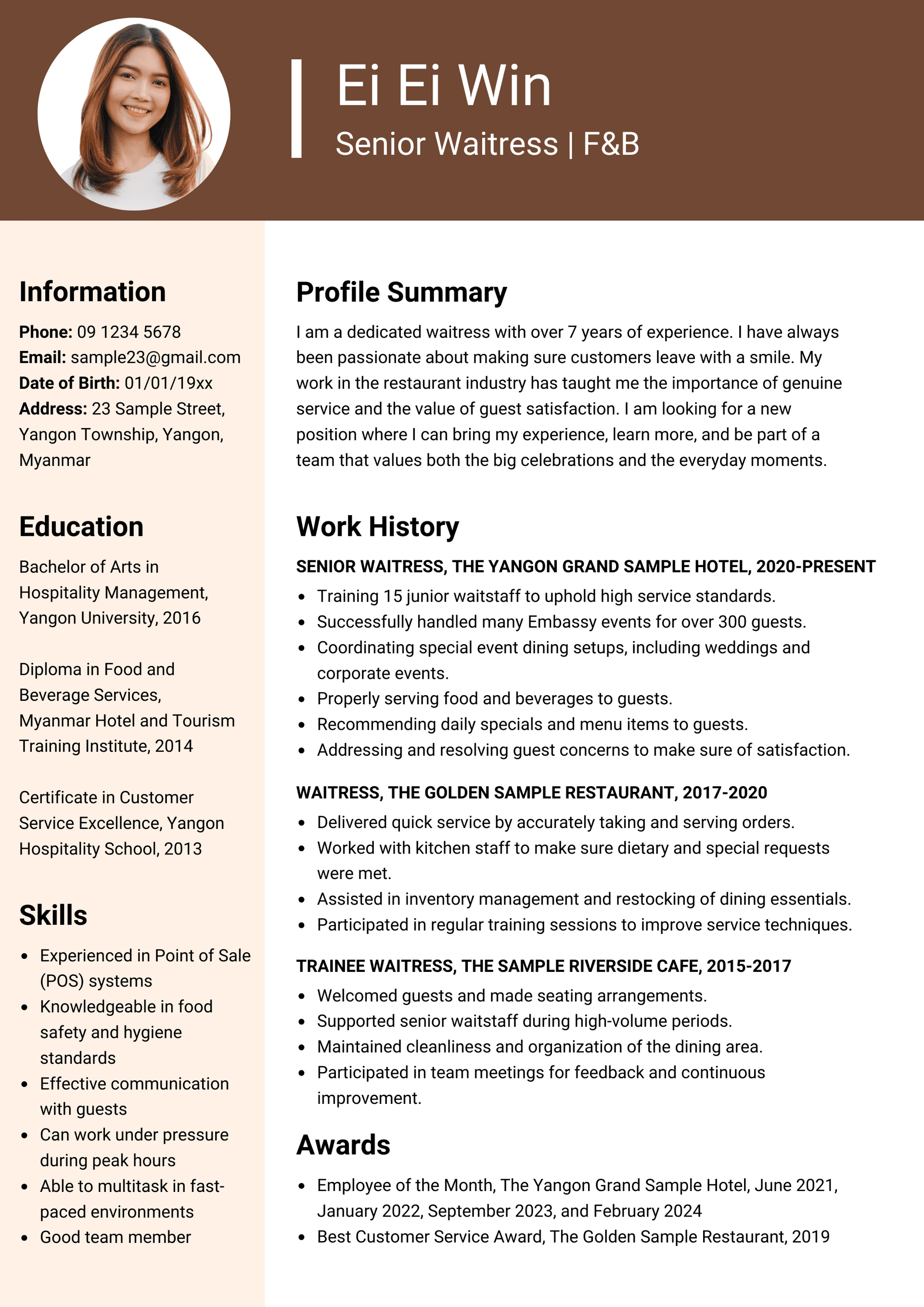 Professional CV sample 3