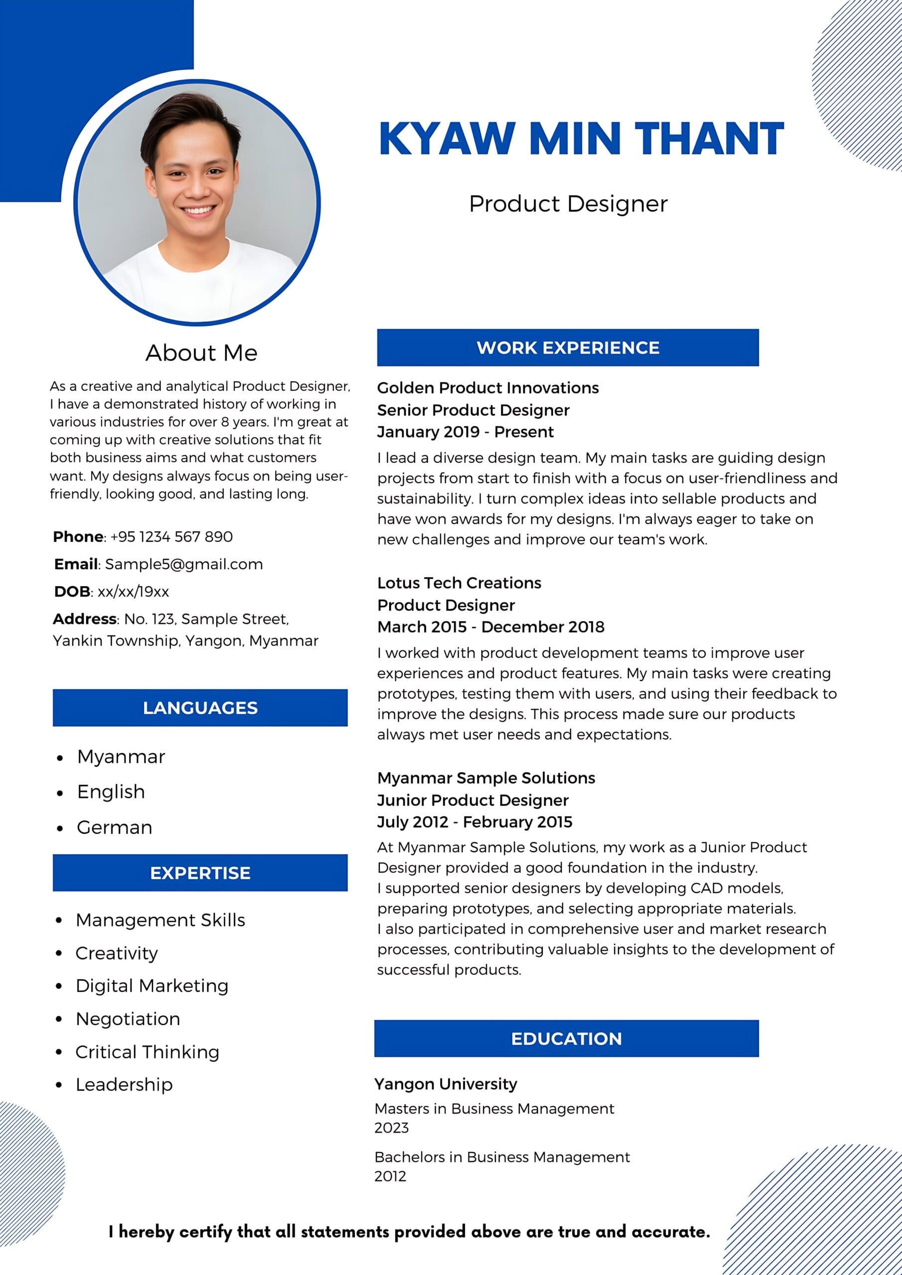 Professional CV sample 4