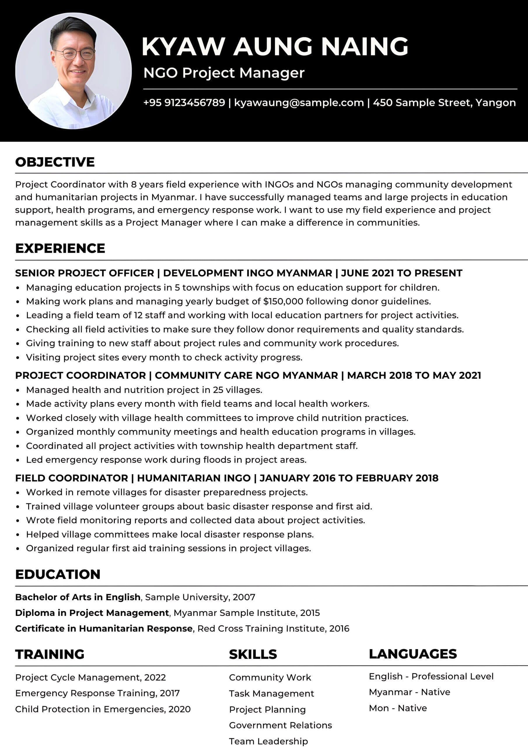 Professional CV sample 6