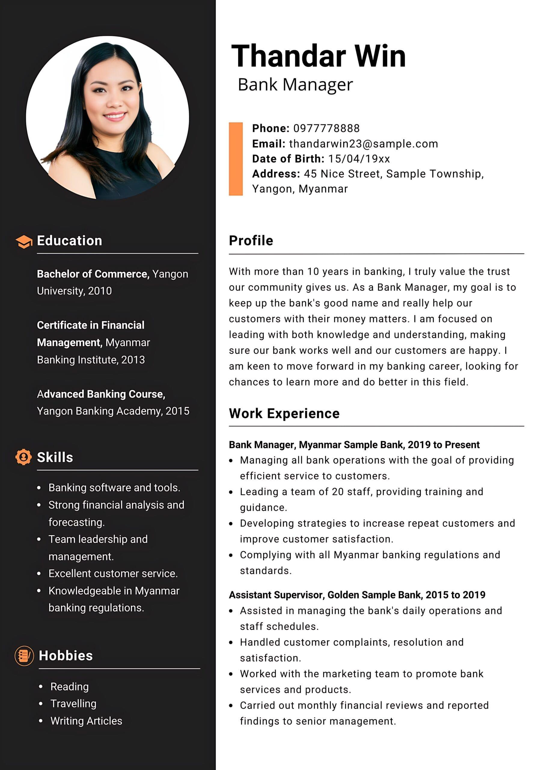 Professional CV sample 7