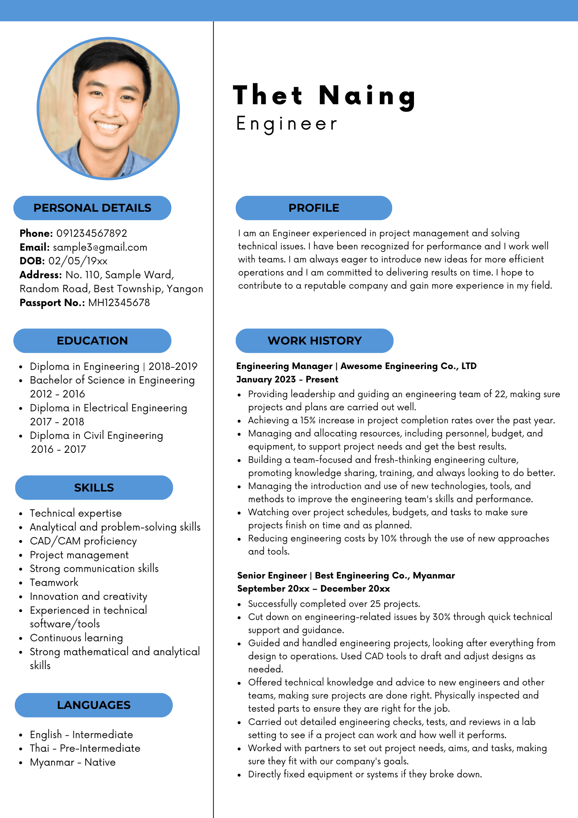 Professional CV sample 8